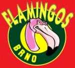 Flamingos Brno